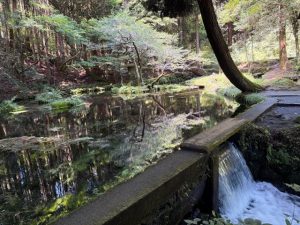 山吹水源！