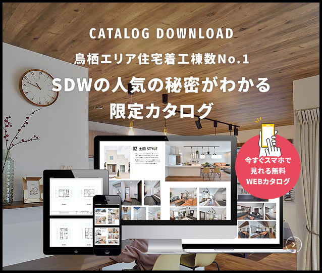 限定カタログ